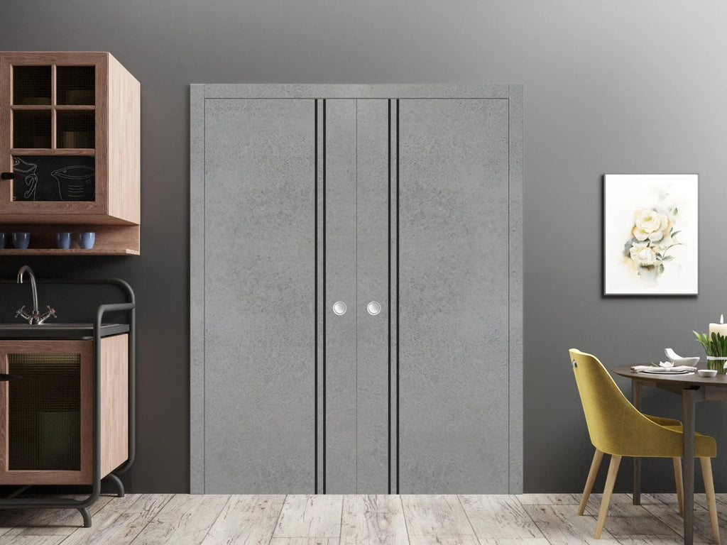 Sliding French Double Pocket Doors 48 x 84 inches Solid Wood Interior Doors Z775