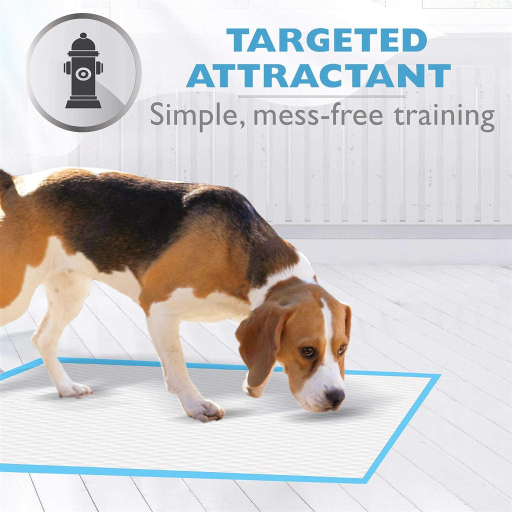Pet Pee Pads T2182