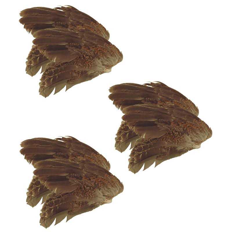 6 Pk B617