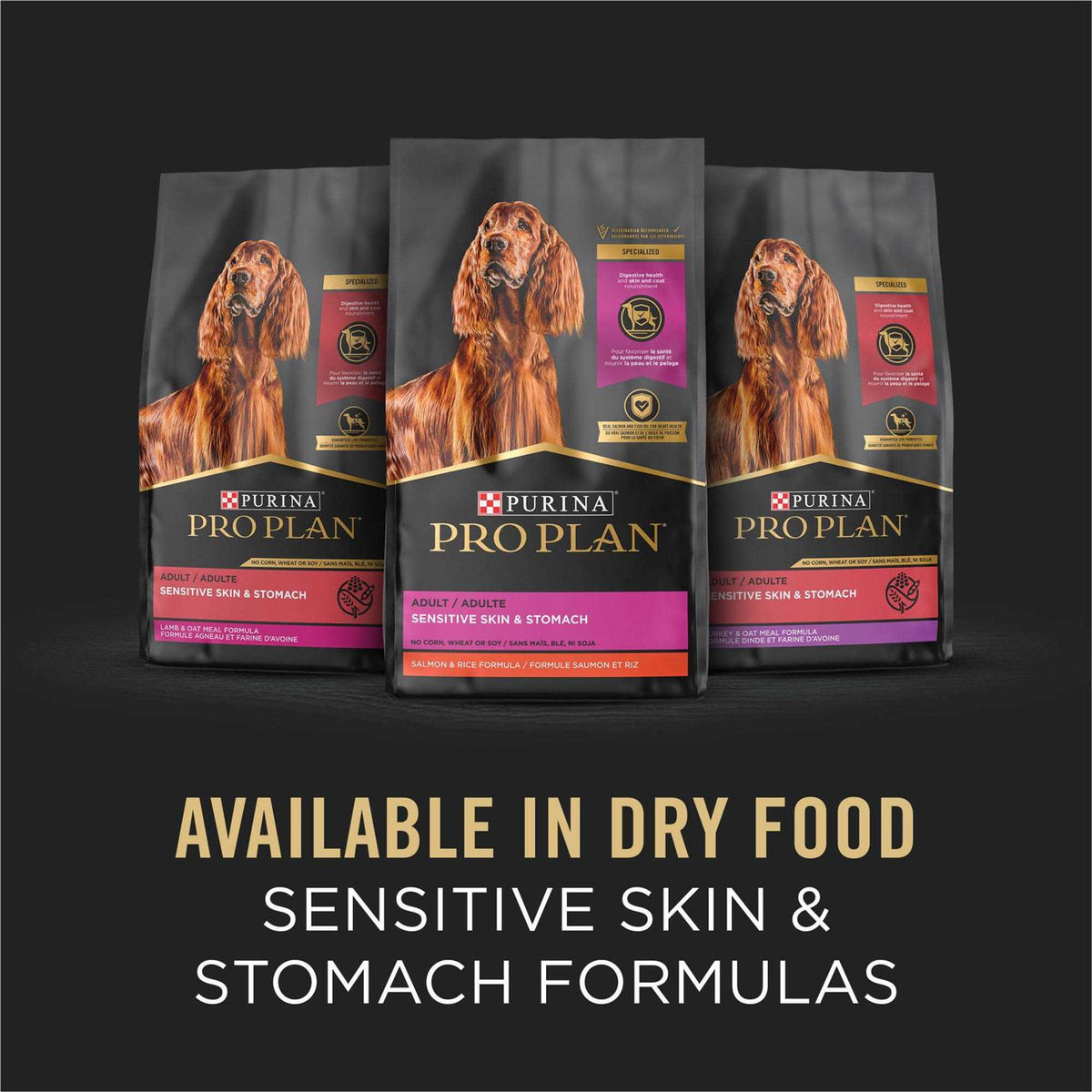 Oat Meal Entree Wet Dog Food S8266