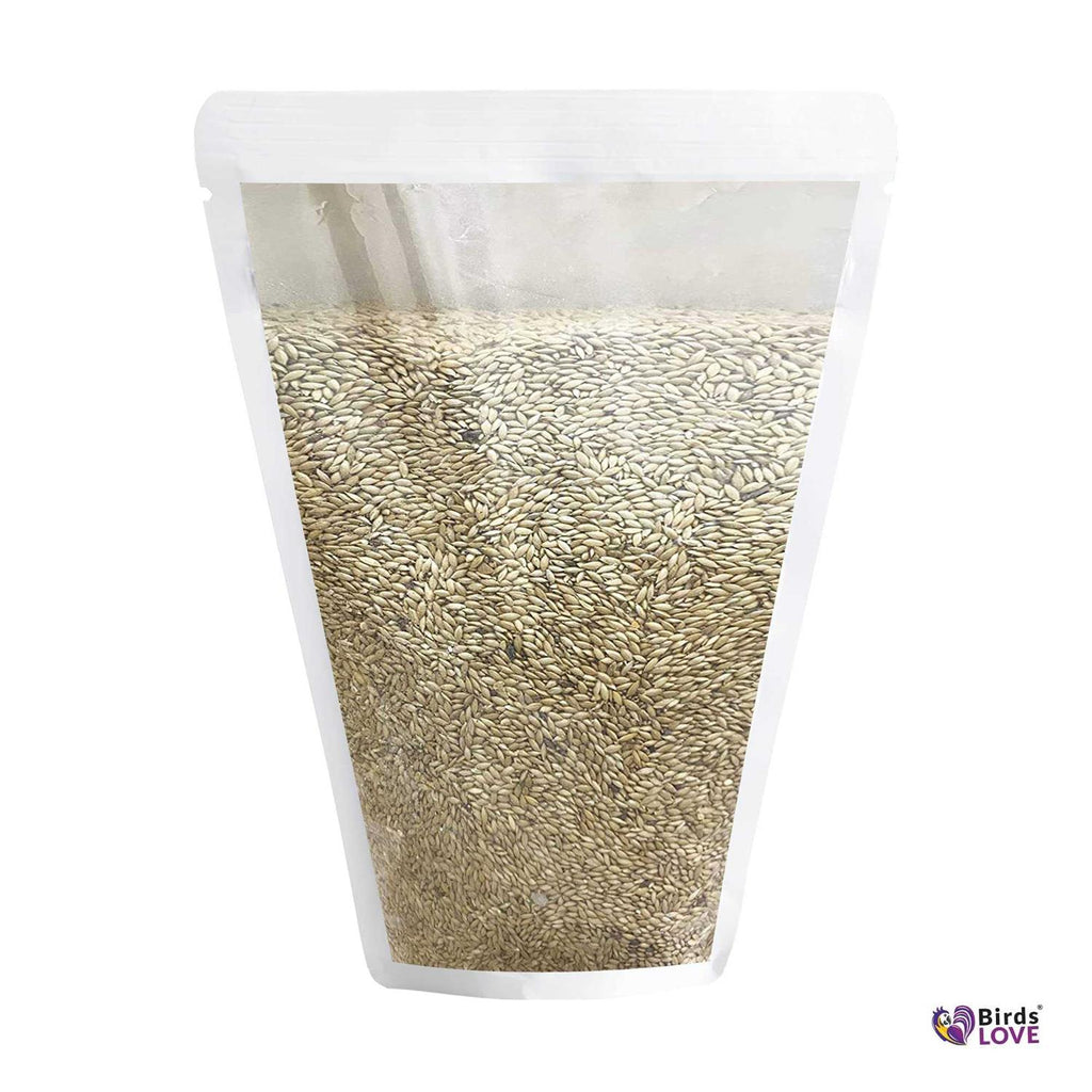 Canary Seed for Canaries and Finch Birds C969