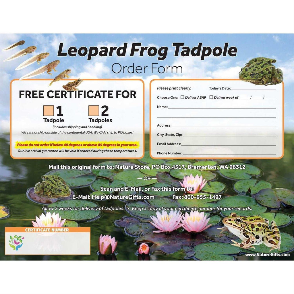 1-Gallon Frog Growing Kit B84689
