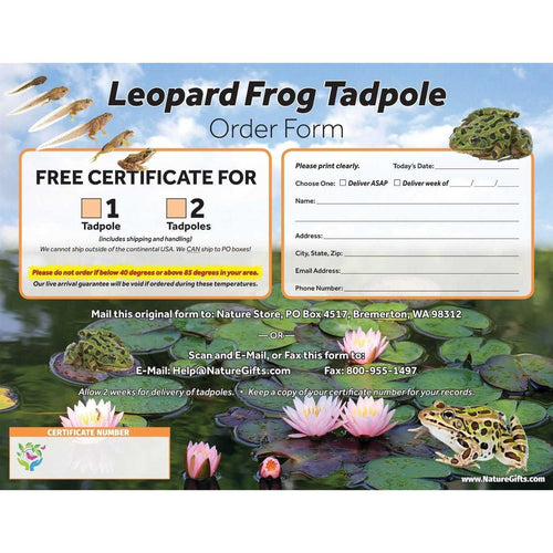 1-Gallon Frog Growing Kit B84689