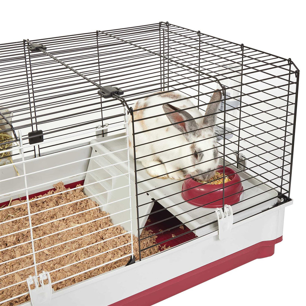 Rabbit Home R873