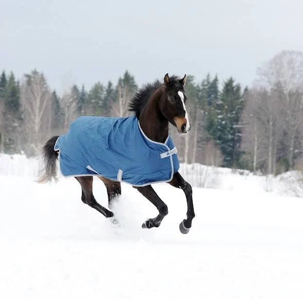 Navy Medium Turnout Blanket I117686