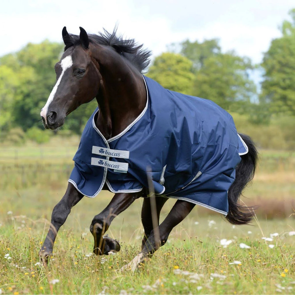 Navy Medium Turnout Blanket I117686