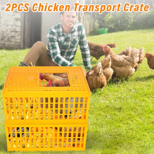2PCS Plastic Poultry Carrier Crate, 29.5 x 21.7 x 13 Inch E439824