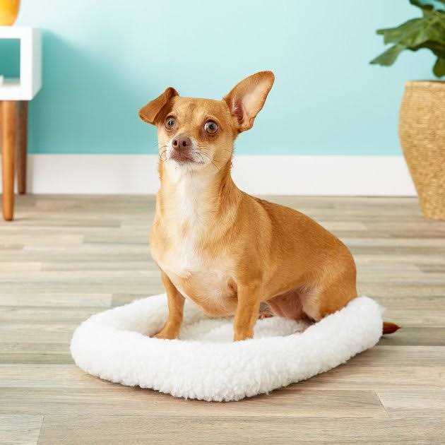 Pet Bed W43667