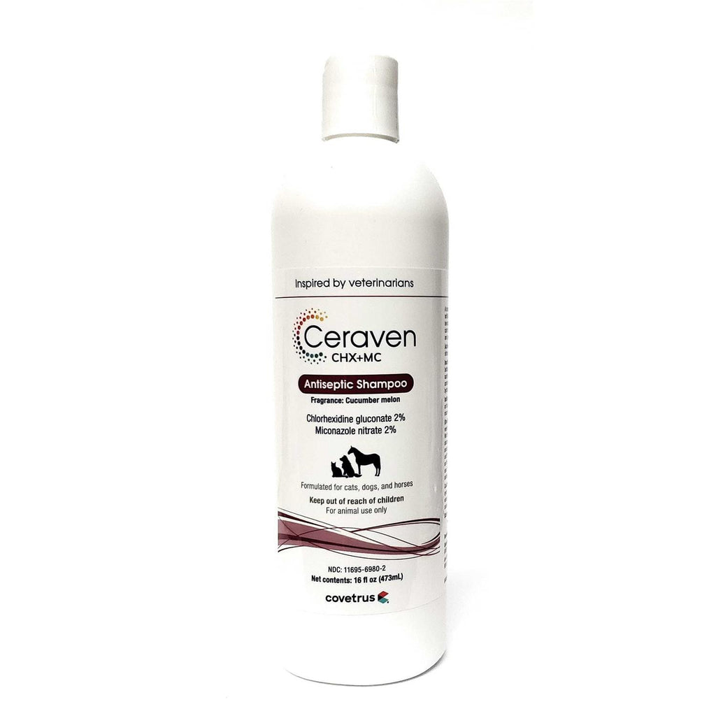 Antiseptic Shampoo 16 oz J65505