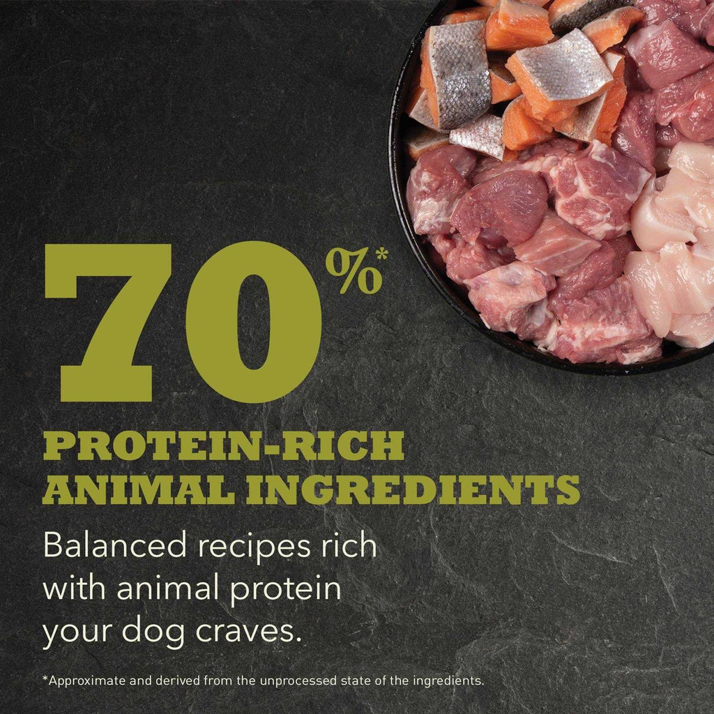 Dry Dog Food E334