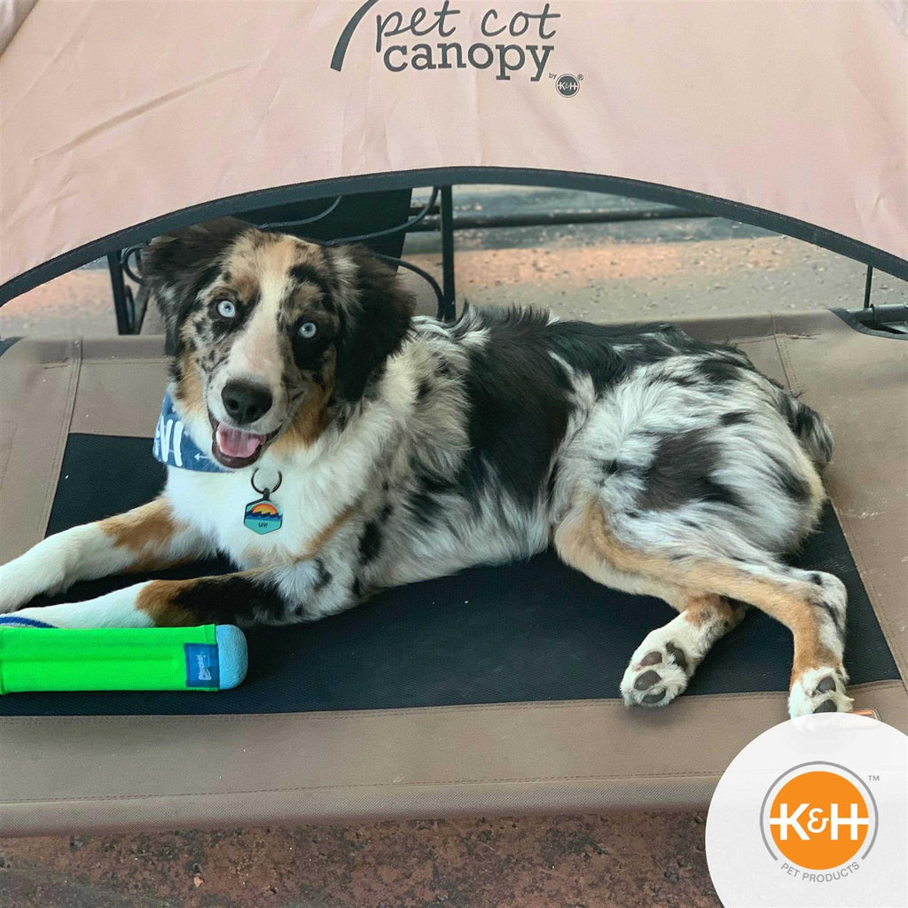 Pet Cot Canopy X76236