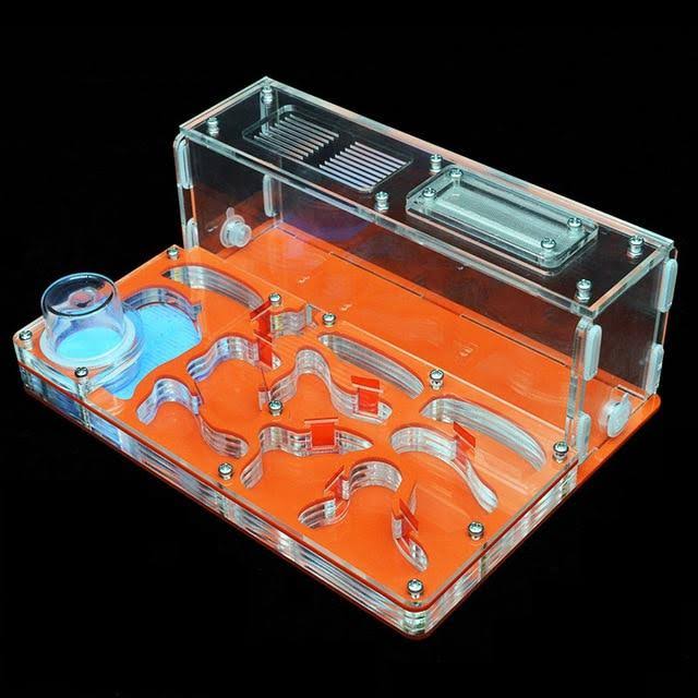 Acrylic Ant Nest with Feeding Area O491