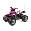 Pink 12V Ride-On Toy M83918