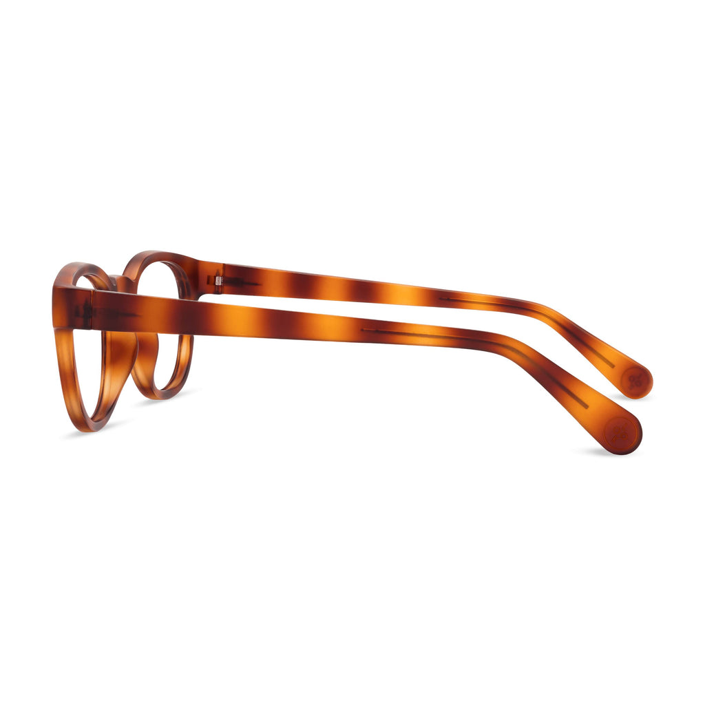 Reading Glasses X208