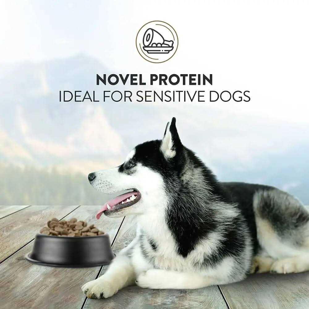 Dry Dog Food E535