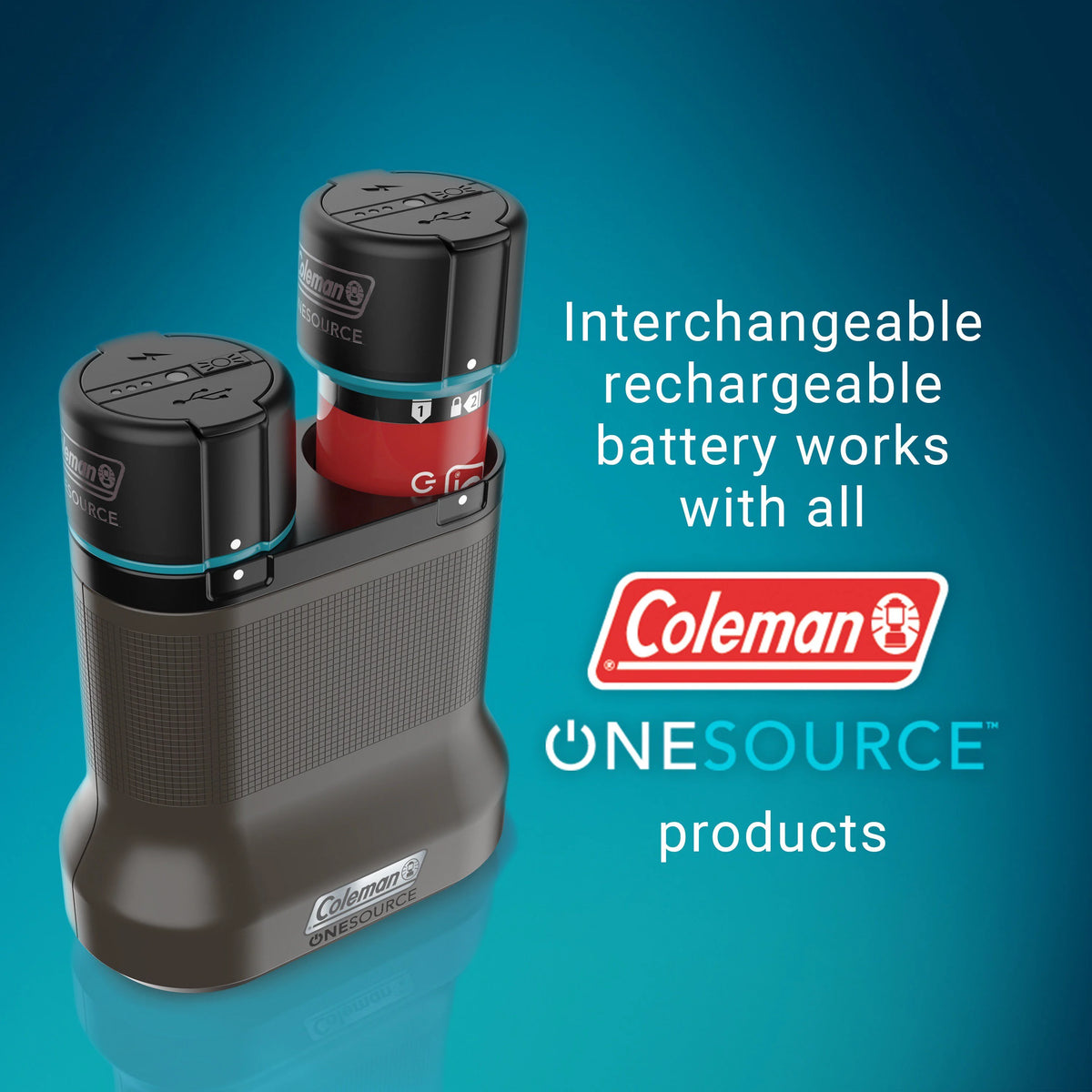 Rechargeable Lithium-Ion Battery Pack of 2 & 2-Port Quick-Charging Station Z557