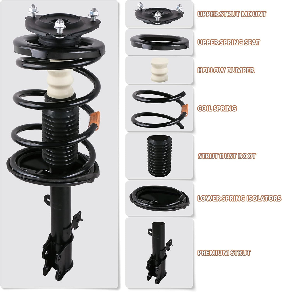 Front Complete Strut Assemblies (Set of 2) N8643