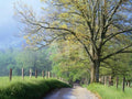 Scenic Seasons Unframed Photographic Print Wall Art P26081