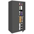 Charcoal All-Welded Storage Cabinet P643