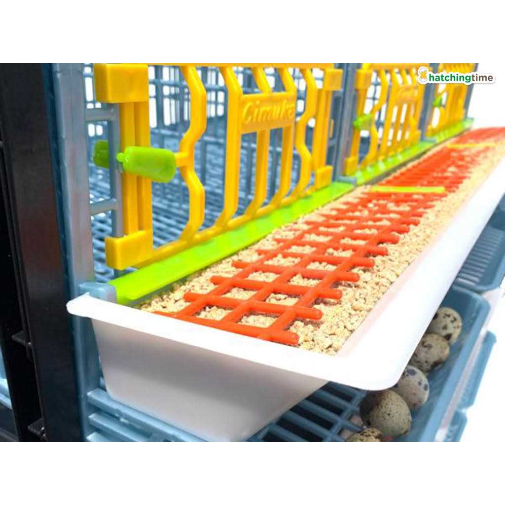 Partridge Cage 1 Layer T618