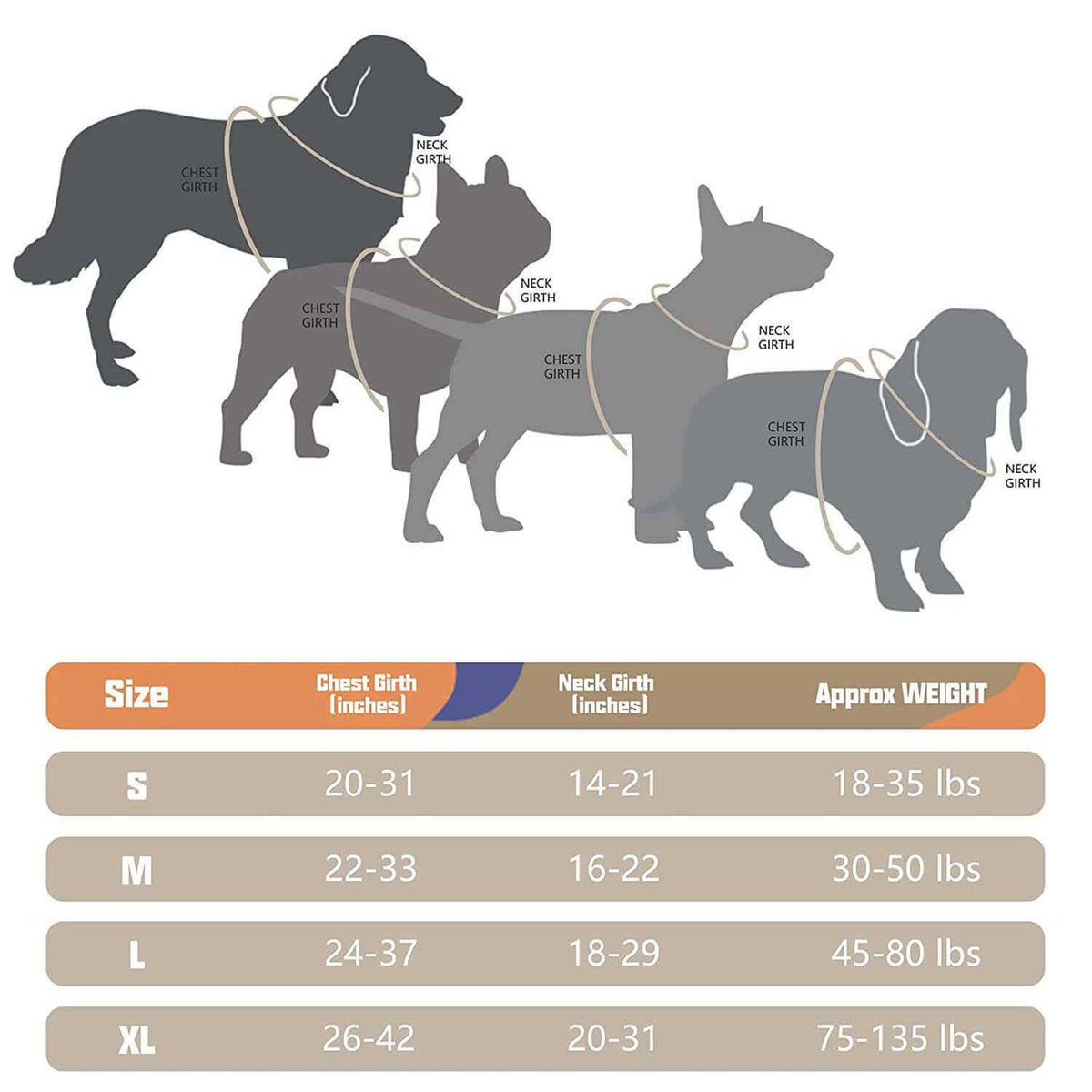 No Pull Dog Harness Z6864