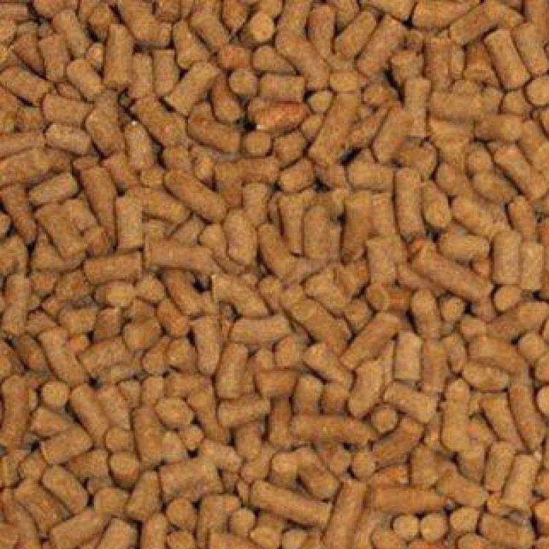 Shrimp Pellets Fish Food O1744